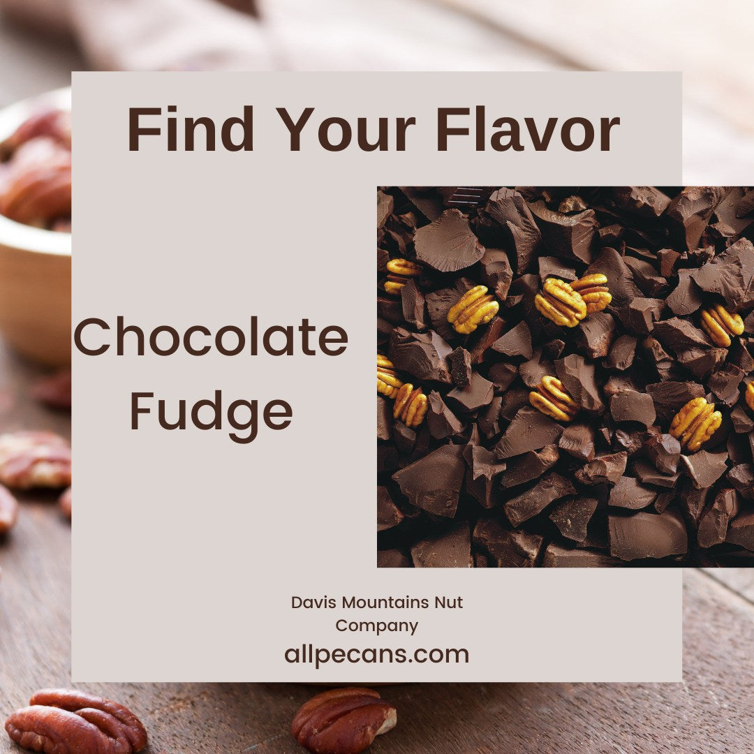 Chocolate Fudge flavored pecans from Davis Mountains Nut Company
